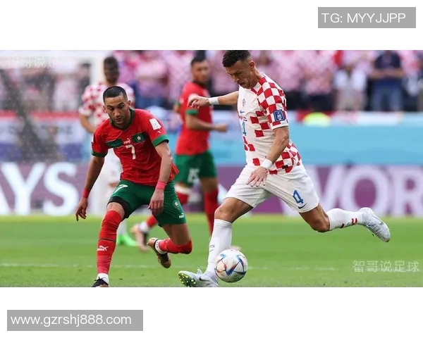 2015南非世界杯法国与丹麦赛前分析及预测展望 2015南非世界杯法国与丹麦赛前分析及预测展望